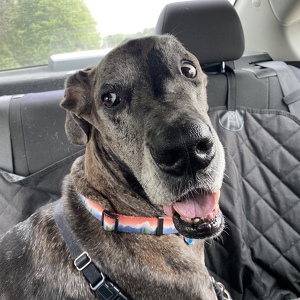 Fundraising Page: Katey Ayres